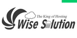 Wisesolution logo