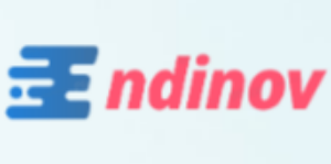 Endinov Web Host logo