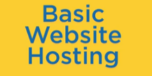 Basic Website Hosting logo