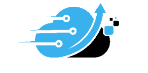 Prime VPS Host logo
