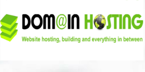 Domain Hosting logo