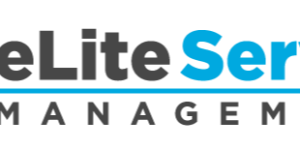 ELite Server Management Com logo