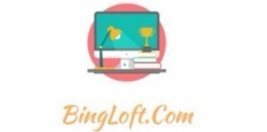 BingLoft Web Solution logo