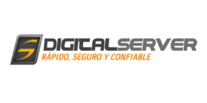 DigitalServer logo