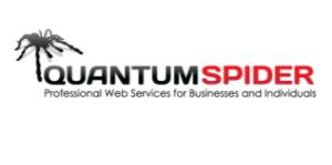 Quantum Spider logo